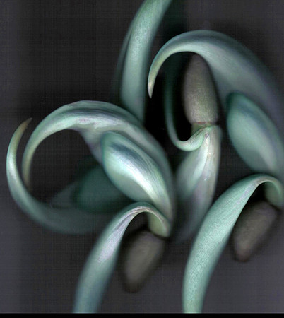 Version 2