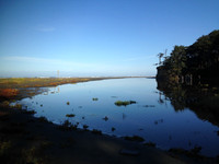 IMG_0847.JPG